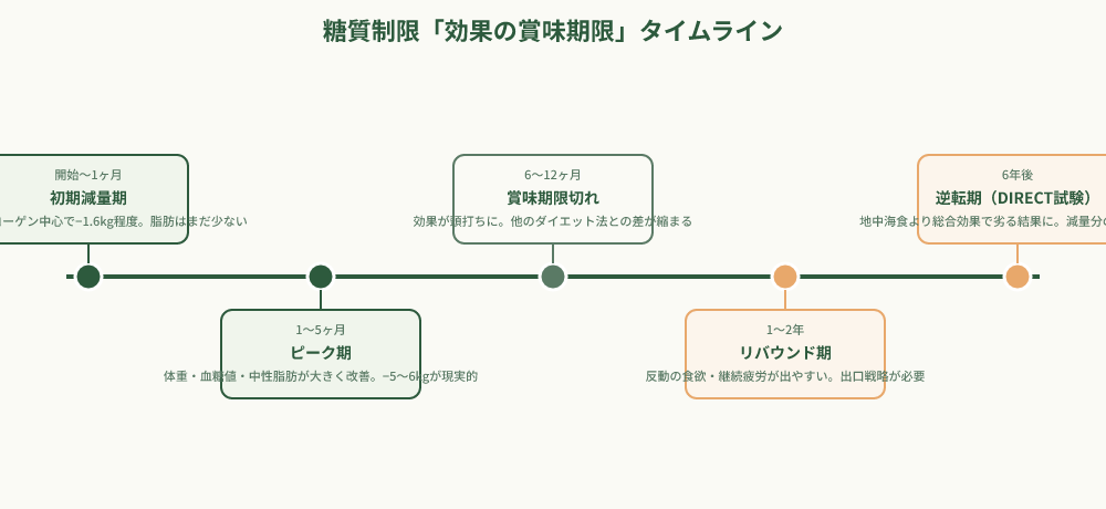 糖質制限効果の経時変化タイムライン