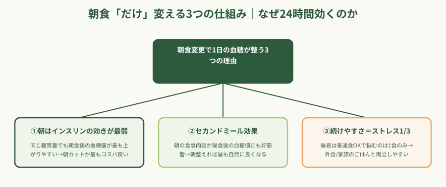 朝食変更で24時間血糖管理が完結する3つのメカニズム階層図