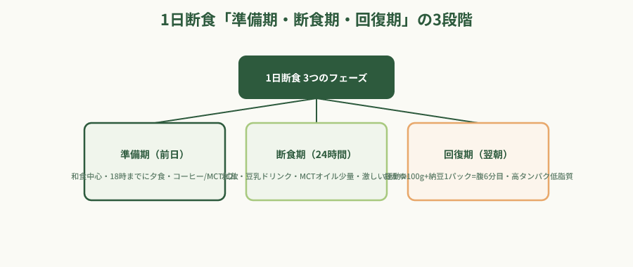 1日断食の3フェーズ階層図