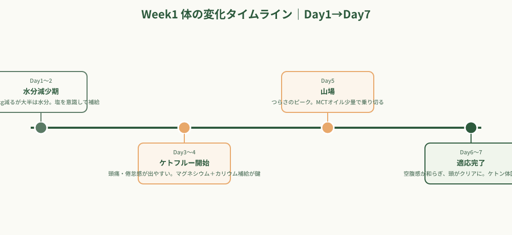ロカボWeek1の体の変化Day1からDay7のタイムライン