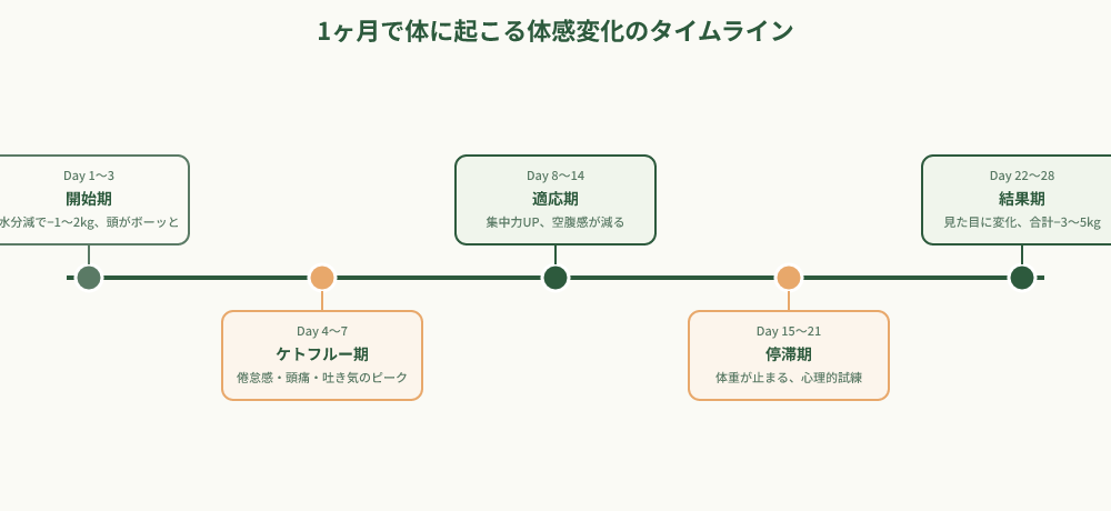 ケトジェニック1ヶ月の体感変化を週ごとに示すタイムライン