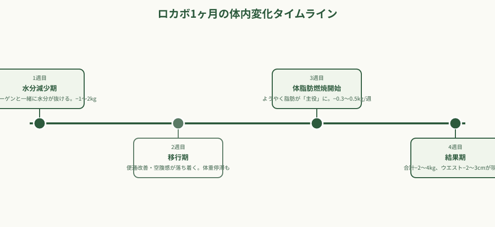 ロカボ1ヶ月の週ごとの体内変化を示すタイムライン