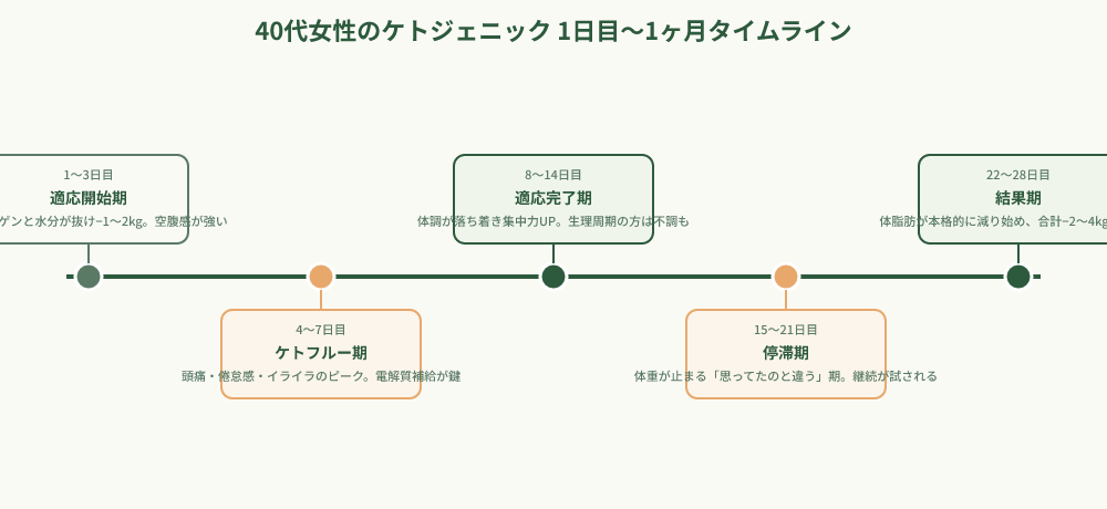 ケトジェニック1日目から1ヶ月の変化を示すタイムライン