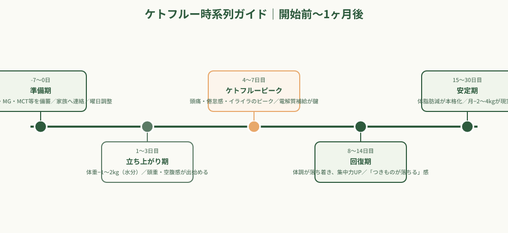 ケトフルーの開始前から1ヶ月後までのタイムライン