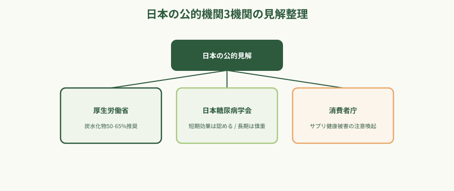 公的機関見解の階層図
