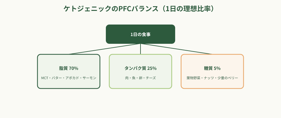 ケトジェニックダイエットのPFCバランス階層図