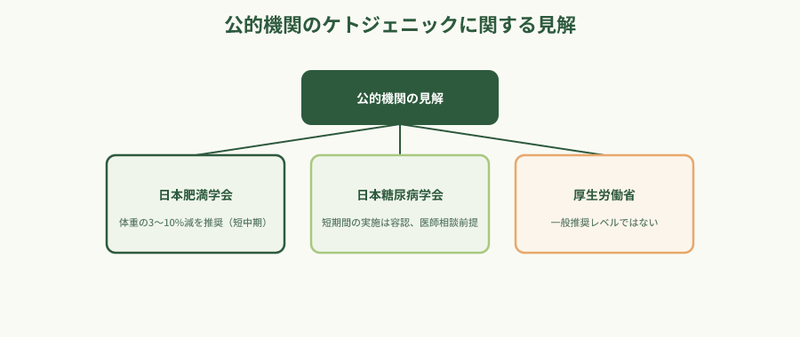 日本の公的機関のケトジェニックダイエットに関する見解の階層図