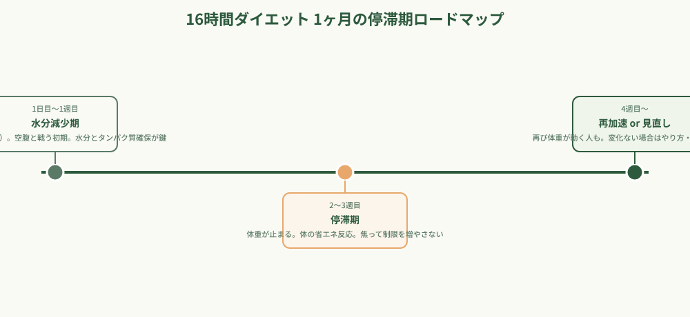 16時間ダイエット1ヶ月の停滞期タイムライン
