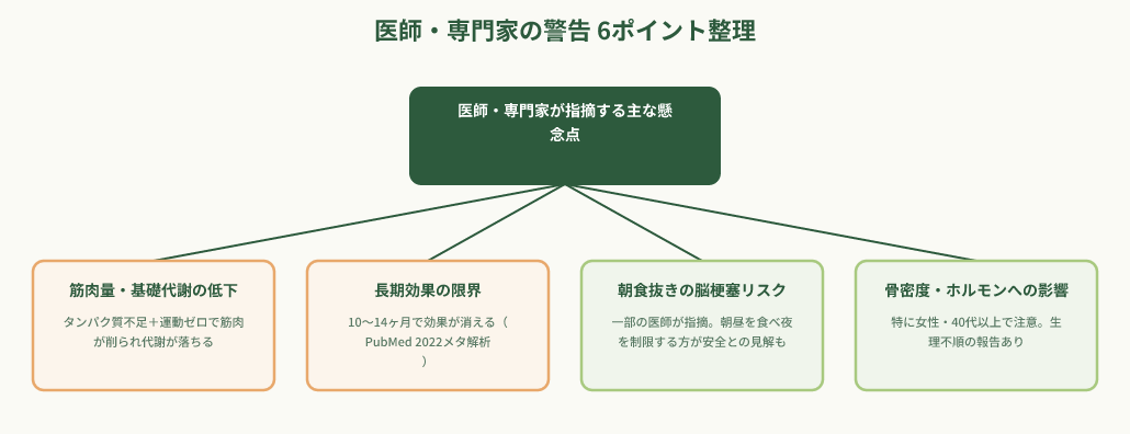 医師専門家が警告する16時間ダイエットの懸念点階層図